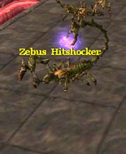 Zebus Hitshocker